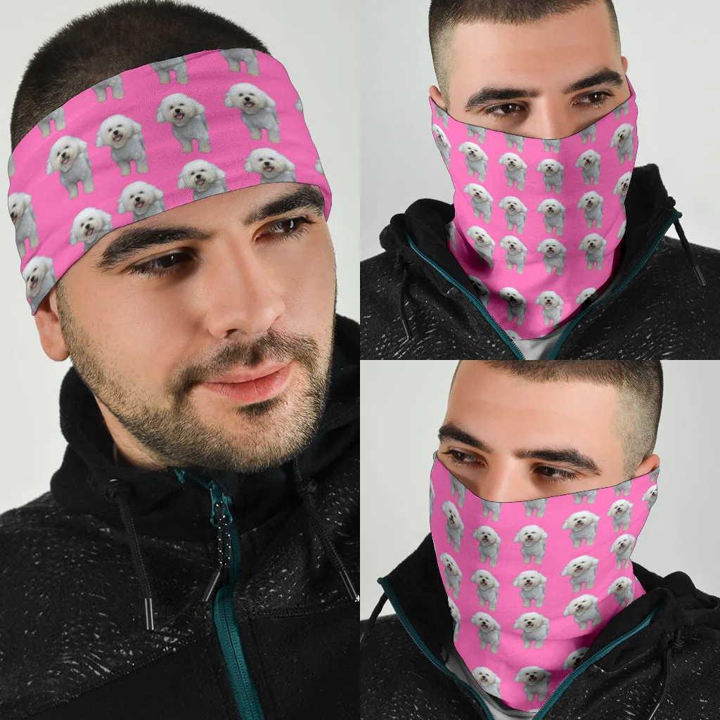 Bichon Bandanas (Set of 3)