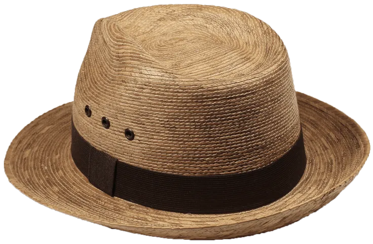 Fedora Azteca