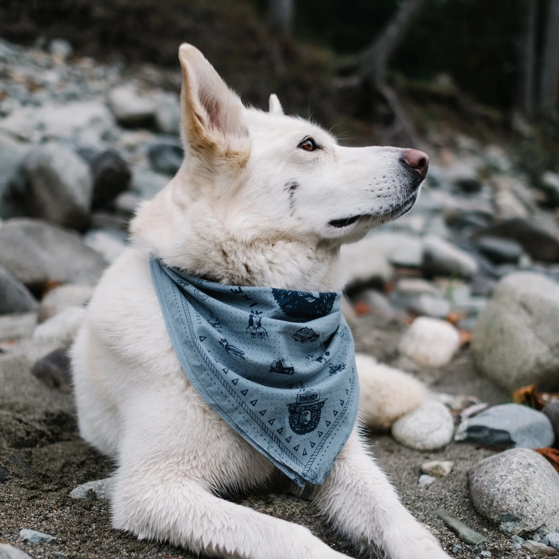 Smokey Bear/US Forest Service - Only You Bandana